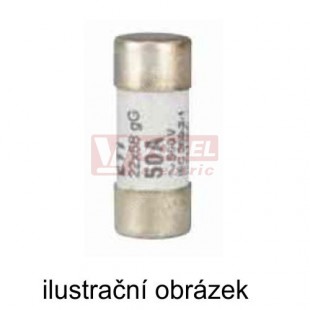 Pojistka 22x58   6A gG 690V AC, s ukazatelem (FR22GG69V6P)